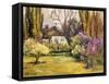 Backyard Orchard-Allayn Stevens-Framed Stretched Canvas