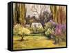 Backyard Orchard-Allayn Stevens-Framed Stretched Canvas