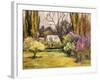 Backyard Orchard-Allayn Stevens-Framed Art Print