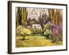 Backyard Orchard-Allayn Stevens-Framed Art Print