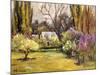 Backyard Orchard-Allayn Stevens-Mounted Art Print