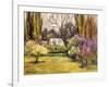 Backyard Orchard-Allayn Stevens-Framed Art Print