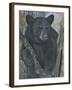 Backyard Visitor-Carla Kurt-Framed Giclee Print