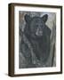 Backyard Visitor-Carla Kurt-Framed Giclee Print