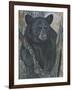 Backyard Visitor-Carla Kurt-Framed Giclee Print