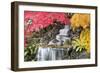 Backyard Waterfall with Japanese Maple Trees-jpldesigns-Framed Photographic Print