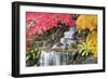 Backyard Waterfall with Japanese Maple Trees-jpldesigns-Framed Photographic Print