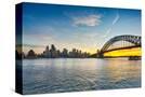 Stretched Canvas