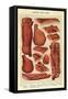 Bacon and Ham, Isabella Beeton, UK-null-Framed Stretched Canvas