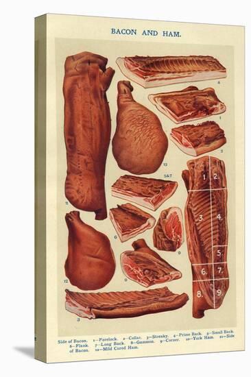 Bacon and Ham, Isabella Beeton, UK-null-Stretched Canvas