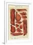 Bacon and Ham, Isabella Beeton, UK-null-Framed Giclee Print