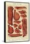 Bacon and Ham, Isabella Beeton, UK-null-Framed Stretched Canvas