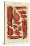 Bacon and Ham, Isabella Beeton, UK-null-Stretched Canvas