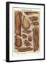 Bacon and Ham-null-Framed Giclee Print