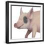 Bacon, Bits and Ham I-Myles Sullivan-Framed Art Print