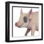 Bacon, Bits and Ham I-Myles Sullivan-Framed Art Print