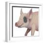 Bacon, Bits and Ham I-Myles Sullivan-Framed Art Print