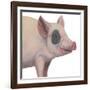 Bacon, Bits and Ham II-Myles Sullivan-Framed Art Print