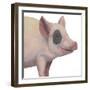 Bacon, Bits and Ham II-Myles Sullivan-Framed Art Print