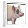 Bacon, Bits and Ham II-Myles Sullivan-Framed Art Print