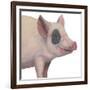 Bacon, Bits and Ham II-Myles Sullivan-Framed Art Print