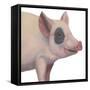 Bacon, Bits and Ham II-Myles Sullivan-Framed Stretched Canvas