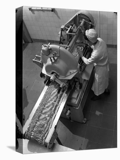 Bacon Slicing Machine, Danish Bacon Company, Selby, North Yorkshire, 1964-Michael Walters-Stretched Canvas