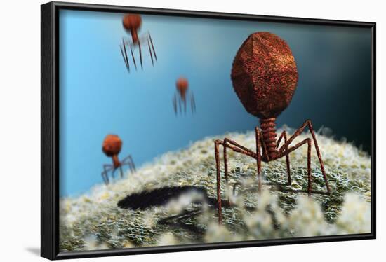 Bacteriophage Viruses-Karsten Schneider-Framed Photographic Print