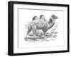 'Bactrian Camel', c1900-Helena J. Maguire-Framed Giclee Print