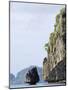 Bacuit Bay, El Nido Town, Palawan Province, Philippines, Southeast Asia-Kober Christian-Mounted Photographic Print