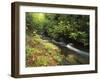 Bad Branch on Pine Mountain, Kentucky, USA-Adam Jones-Framed Premium Photographic Print