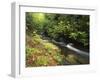 Bad Branch on Pine Mountain, Kentucky, USA-Adam Jones-Framed Premium Photographic Print