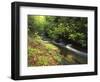 Bad Branch on Pine Mountain, Kentucky, USA-Adam Jones-Framed Photographic Print