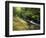 Bad Branch on Pine Mountain, Kentucky, USA-Adam Jones-Framed Photographic Print