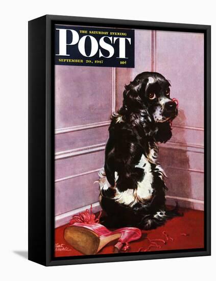 "Bad Dog, Butch," Saturday Evening Post Cover, September 20, 1947-Albert Staehle-Framed Stretched Canvas