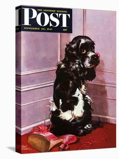 "Bad Dog, Butch," Saturday Evening Post Cover, September 20, 1947-Albert Staehle-Stretched Canvas
