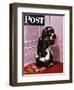 "Bad Dog, Butch," Saturday Evening Post Cover, September 20, 1947-Albert Staehle-Framed Giclee Print