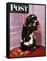 "Bad Dog, Butch," Saturday Evening Post Cover, September 20, 1947-Albert Staehle-Framed Stretched Canvas