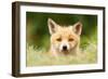 Bad Fur Day-Roeselien Raimond-Framed Art Print