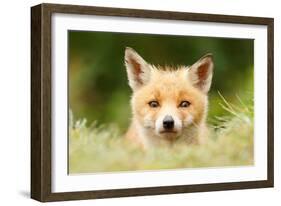 Bad Fur Day-Roeselien Raimond-Framed Art Print