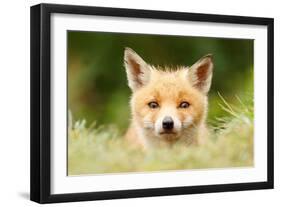 Bad Fur Day-Roeselien Raimond-Framed Art Print