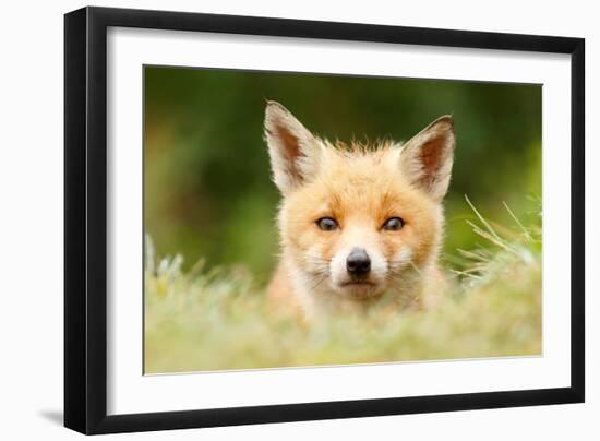 Bad Fur Day-Roeselien Raimond-Framed Art Print