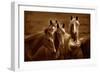 Bad Girls-Tony Stromberg-Framed Premium Photographic Print