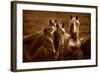 Bad Girls-Tony Stromberg-Framed Photographic Print