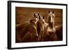 Bad Girls-Tony Stromberg-Framed Photographic Print