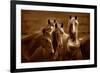 Bad Girls-Tony Stromberg-Framed Premium Photographic Print