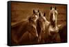 Bad Girls-Tony Stromberg-Framed Stretched Canvas