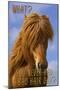 Bad Hair Day-Cora Niele-Mounted Giclee Print