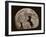 Bad Moon Risin-Barry Hart-Framed Giclee Print