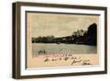 Brown Frame